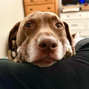 Meet your Posher, Jill